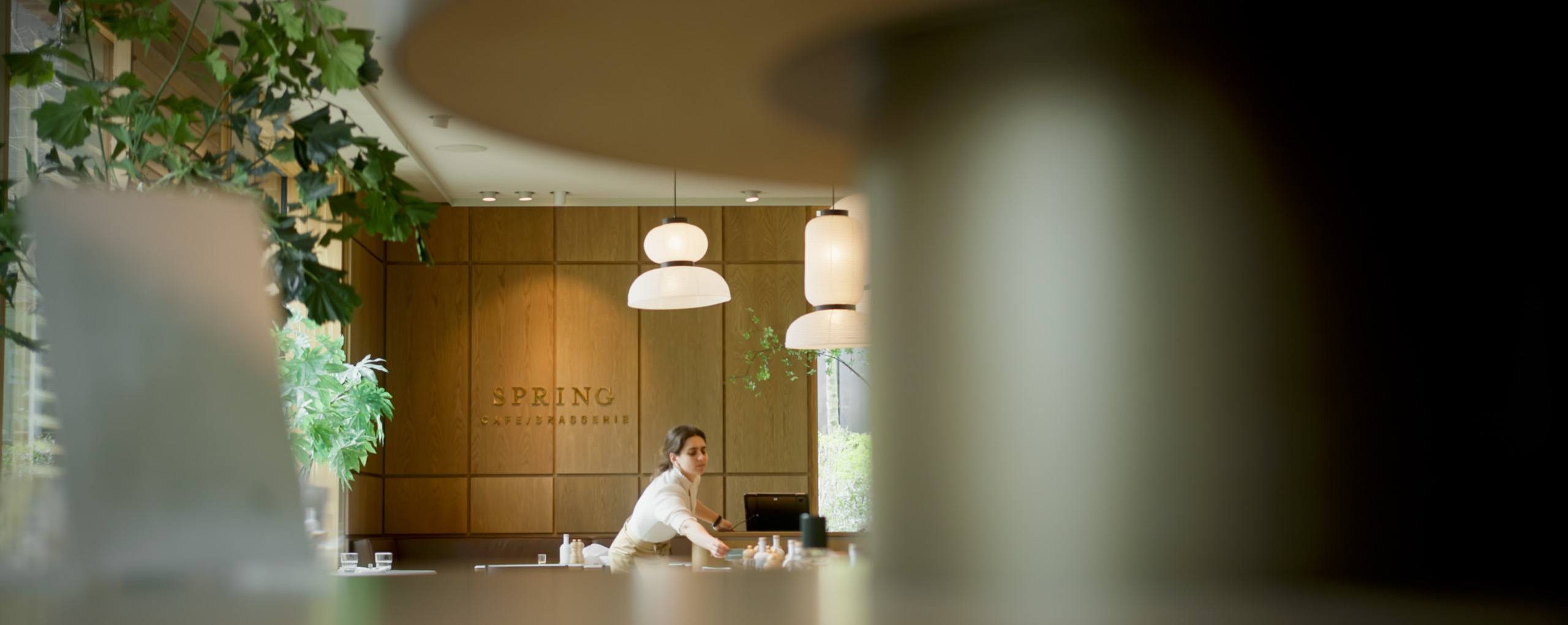 Banner Yellow Spring